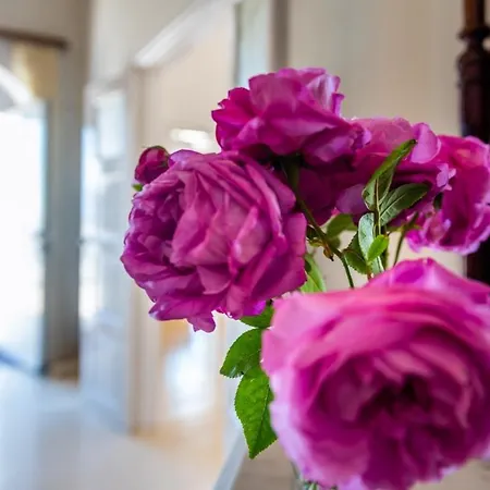Vintage House بيت للعطل
